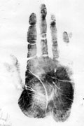 Alvin Karpis' palm