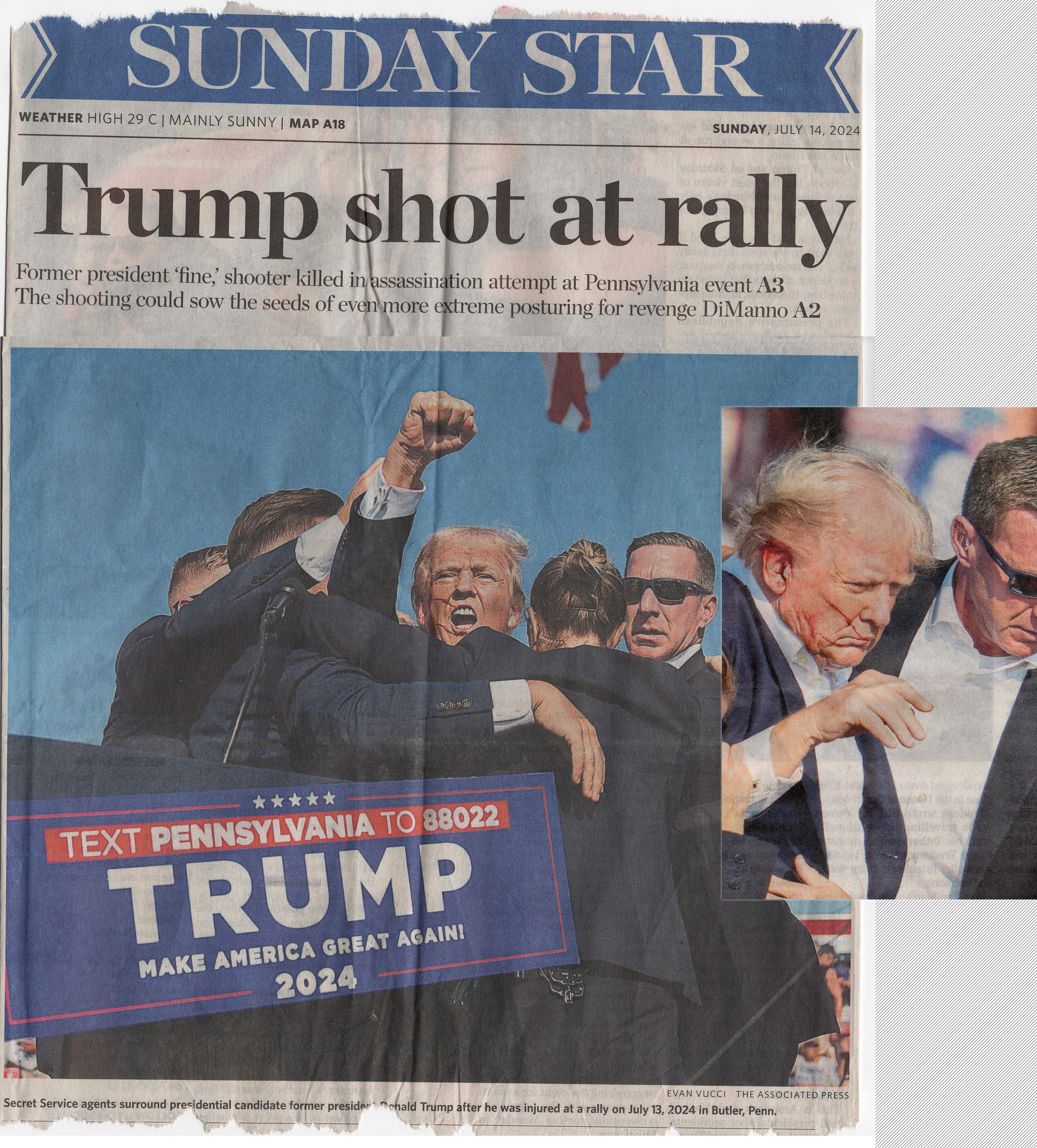Trump Shot